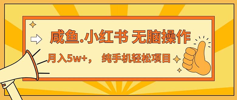 (7.10)2024最赚钱的项目，咸鱼，小红书无脑操作，每单利润500+，轻松月入5万+