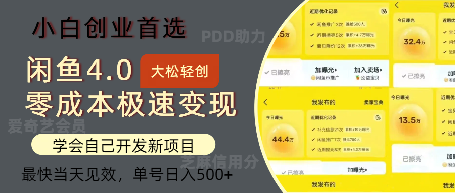 (9.3)闲鱼0成本极速变现项目，多种变现方式 单号日入500+最新玩法